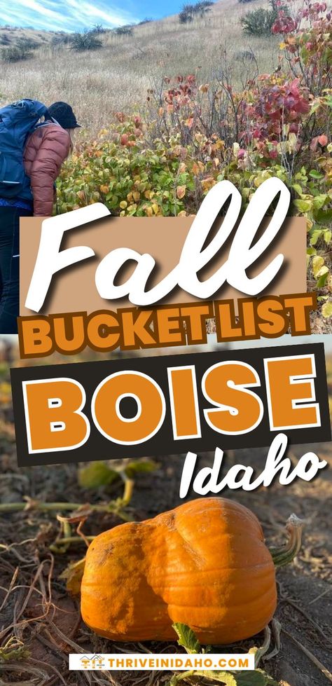 Are you planning an Idaho travel in the fall and wondering what to put in your fall bucket list this year as you visit Boise Idaho? We've got you covered! There are so many cool things to do in Boise in the fall that deserve a spot on your fall bucket list. Join a Boise Halloween party, visit pumpkin patches in Boise, go to Haunted World or shop at Boise Farmers' Market! Your fall bucket list with families in Boise is sure to have so many unforgettable things to do this season! Fall Backpack, Explore Idaho, Idaho Vacation, Weekend Packing, Idaho Travel, Cool Things To Do, Pumpkin Patches, Fall Bucket List, Idaho Falls