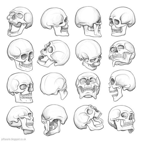 Jeff Searle: The human skull Skull Reference Anatomy, Patung Liberty, Beautiful Pencil Drawings, Skull Anatomy, People Reference, Skull Reference, Drawing Hairstyles, Skull Sketch, Skeleton Drawings