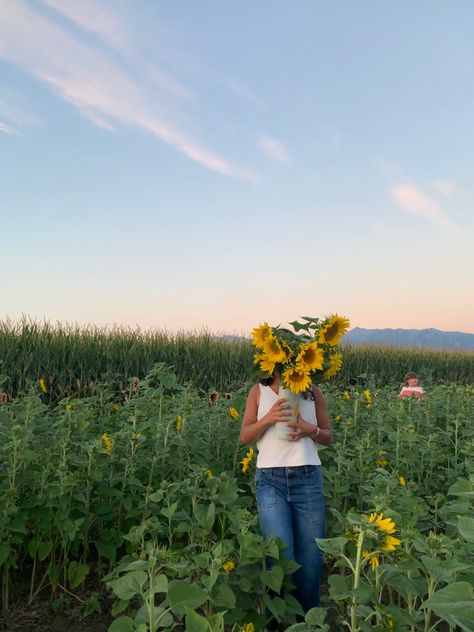 Sunflower Fall Aesthetic, Flower Field Pics Aesthetic, Field Pics Aesthetic, Sunflower Field Instagram Pictures, Sunflower Picking Outfit, Flower Field Photo Ideas, Sunflower Field Pics, Sunflower Instagram Pictures, Flower Feild Pics Aesthetic