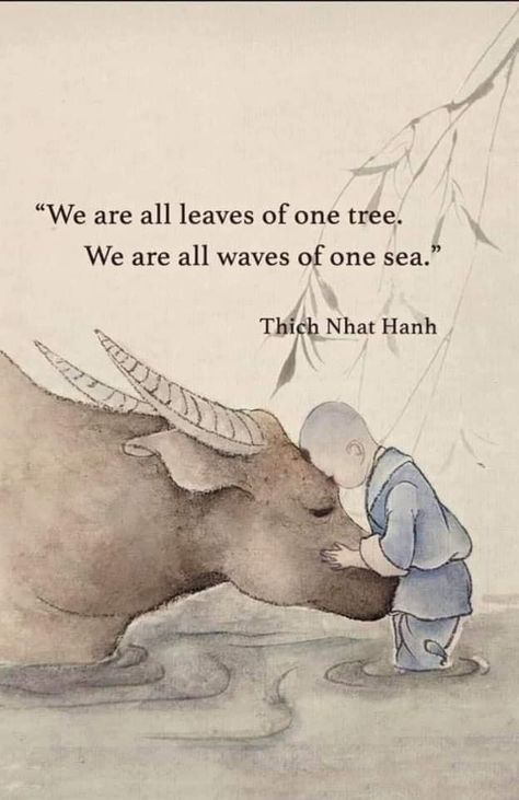 Thich Nhat Hanh Quotes Mindfulness, Buddism Quotes, Buddha Doodle, Thich Nhat Hanh Quotes, Zen Quotes, Buddhism Quote, A Course In Miracles, Proverbs Quotes, Thich Nhat Hanh