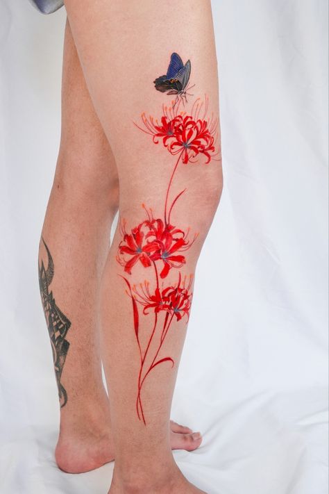 Tattoo in red color, spider lily and butterfly. Tattoo on leg. Man tattoo. Feminine tattoo. Tattoo ideas 2023. Color tattoo. Best tattoo. Red Spider Lily Tattoo Sleeve, Spider Lily And Butterfly Tattoo, Red Spider Lily Tattoo Leg, Spider Lily Butterfly Tattoo, Red Knee Tattoo, Spider Lily Leg Tattoo, Red Spider Lily Tattoo Design, Red Spider Lily Tattoo, Spider Lily Tattoo