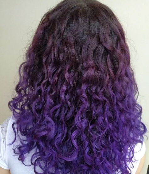 Orchid Curly Hair Color Ideas Curly Hair With Purple Tips, Vivid Curly Hair, Dyed Hair Inspo For Curly Hair, Curly Hair Dip Dye, Curly Hair With Purple Highlights, Curly Hair Purple Highlights, Curly Hair Color Ideas Purple, Dark Purple Hair Curly, Dyed Tips Curly Hair