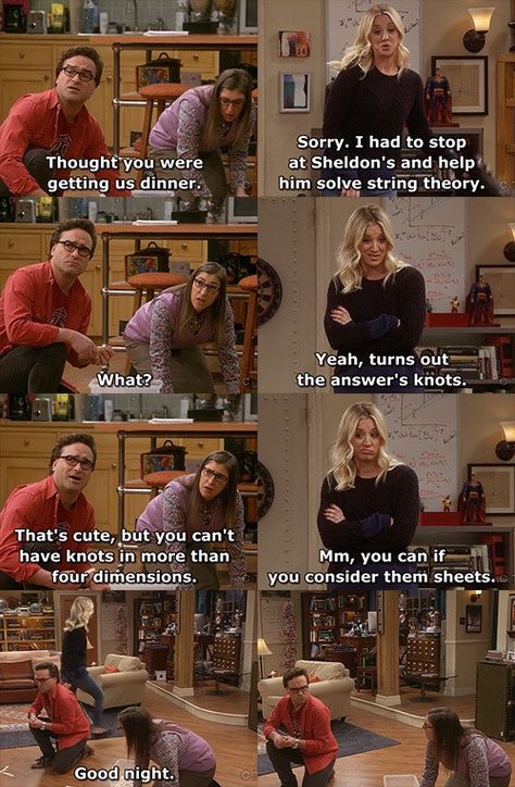 Big Bang Theory Memes, Big Bang Theory Quotes, Big Bang Theory Funny, The Big Band Theory, The Bigbang Theory, Tv Memes, Tv Time, Friends Funny Moments, String Theory