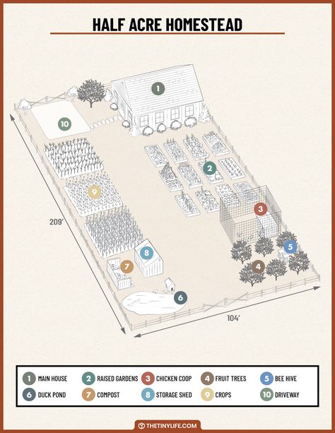 Designing A Half An Acre Homestead Layout - The Tiny Life Half Acre Farm Layout, 1 Acre Permaculture Layout, Small Farm Plans Layout Design, Half An Acre Backyard Ideas, Homesteading On Half An Acre, 1acre Homestead Layout, Half Acre Garden Layout, One Acre Homestead, Half Acre Homestead