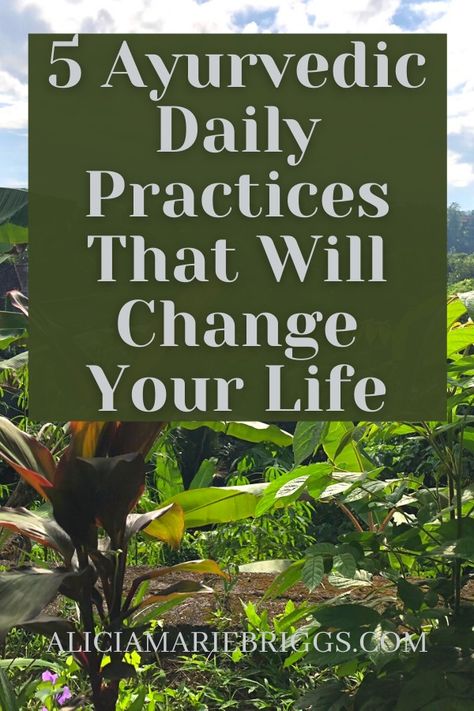 5 Ayurvedic Daily Practices That Will Change Your Life : Learning the Local Way Kapha Dosha Meal Plan, Pitta Dosha Daily Routines, Pitta Vata Dosha Diet, Ayurvedic Meal Plan, Vata Dosha Daily Routines, Kapha Dosha Daily Routines, Ayurveda Morning Routine, Ayurvedic Diet Kapha, Kapha Dosha Diet