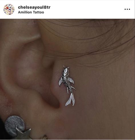 Koi Fish Piercing, Ocean Piercings, Tragus Piercing Jewelry, Tragus Jewelry, Cool Ear Piercings, Pretty Ear Piercings, Cool Piercings, Tragus Piercing, Body Jewelry Piercing