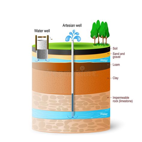 Artesian water and Groundwater. Schematic of an artesian well. Typical aquifer c , #sponsored, #Schematic, #artesian, #Groundwater, #Artesian, #water #ad Agriculture Classroom, Artesian Well, Diagram Illustration, Cells Worksheet, Water Softener System, Geotechnical Engineering, Ocean Theme Classroom, Water Well Drilling, Conservation Of Natural Resources