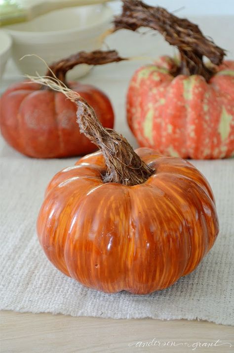 DIY Pumpkins with Realistic Looking Stems | ANDERSON+GRANT Pumpkin Stems, Diy Pumpkins, Diy Pumpkin Spice, Fall Pumpkin Crafts, Fake Pumpkins, Plastic Pumpkins, Pumpkin Stem, Manualidades Halloween, Rustic Fall Decor