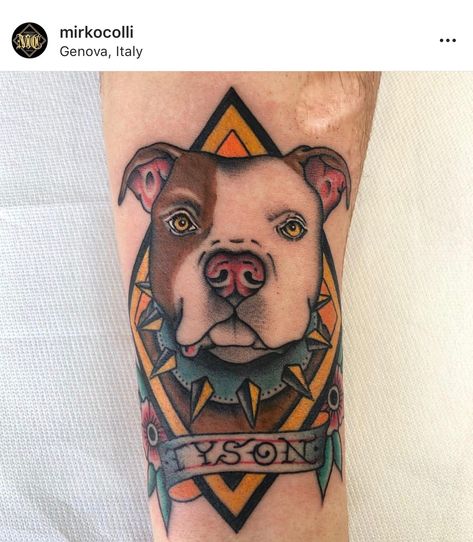 Old School Pitbull Tattoo, Traditional Pitbull Tattoo, Bully Tattoo, Train Tattoo, Traditional Hand Tattoo, Dog Portrait Tattoo, Shadow Tattoo, Pitbull Tattoo, Traditional Tattoo Sleeve