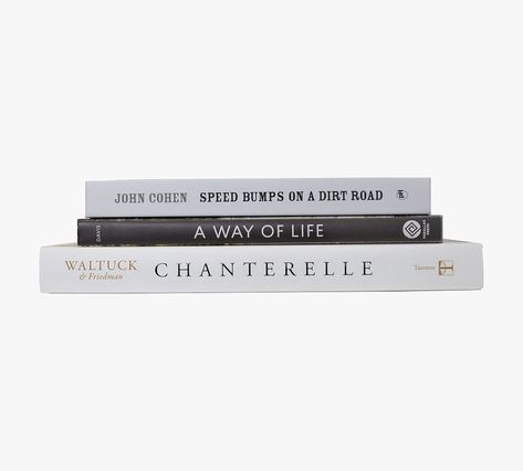 Modern Dust Jacket ColorStak Books - Set of 3 | Pottery Barn Book Stack, Small Space Solutions, Print Book, Book Bundles, Stack Of Books, Pottery Barn Teen, Mirror Art, Book Decor, Dust Jacket