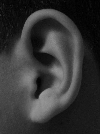 Ringing in the ears happens to most of us every once in awhile. However, for more than 16 million people living with tinnitus, that ringing happens Bod References, Draw Ear, Ear Shapes, Anatomical Art, How To Draw Ears, Human Ear, 얼굴 그리기, Human Reference, Eye Photography