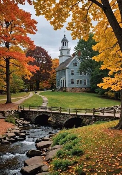 Autumn In Massachusetts, Fall In Massachusetts Aesthetic, Chestnut Hill Massachusetts, Fall In Boston Aesthetic, Massatuchets State, Boston Massachusetts Aesthetic Fall, United States Of America Aesthetic, New England College Aesthetic, Boston Aesthetic Fall