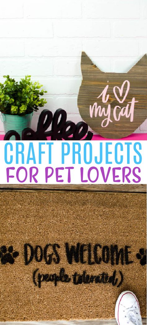 Fun Craft Projects, Dogs Diy Projects, Cat Patio, Easy Pets, Dog Crafts, Love Your Pet, Crafts To Make And Sell, Dog Items, Animal Projects