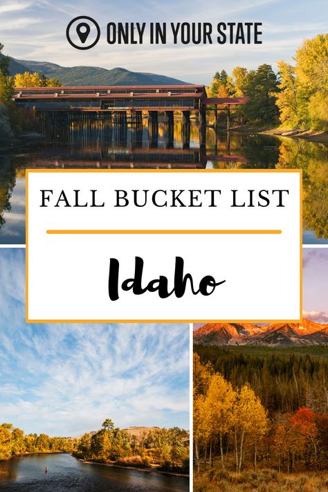 Idaho National Parks, Idaho Falls Things To Do In, Idaho Road Trip Itinerary, Idaho In The Fall, Idaho Itinerary, Fall Places, Sun Valley Idaho Fall, Cour De Lane Idaho, Fall Weekend Trip