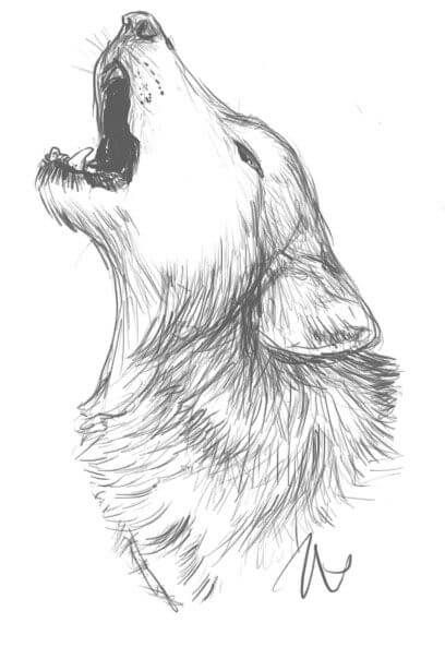 26 Stunning drawings of animals Made From Pencil And Paper Skitse Bog, Wolf Sketch, Art Du Croquis, Drawing Hands, Drawing Eyes, Wolf Photos, Desen Anime, Wolf Drawing, White Drawing