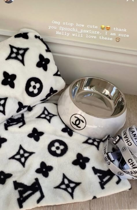 #dog #pets #cAts #chanel #dogbowl Louis Vuitton Dog Accessories, Chanel Dog Accessories, Cute Dog Essentials, Dog Essentials Aesthetic, Dog Supplies Aesthetic, Boujee Dog Stuff, Luxury Pet Accessories, Dog Accessories Aesthetic, Boujee Dog