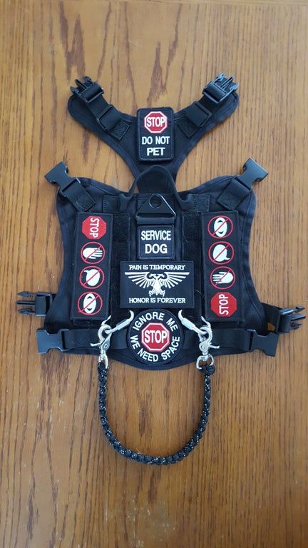 Tactical Dog Gear, Military Service Dogs, Service Dog Gear, Service Dog Patches, Tactical Dog Harness, Psychiatric Service Dog, Dog Equipment, Service Dogs Gear, Service Dog Vests