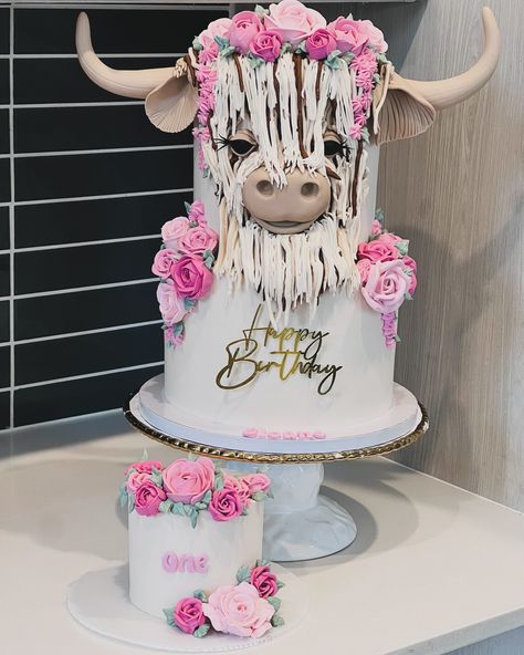 Highland Cow Cake & smash This gorgeous two tier Highland Cow cake fed around 50 guests, and included a free smash cake! For those of you who are new to my page, I will always include free smash cakes with any first birthday order Contact me for inquiries! ✨ Best ways to reach out DM via FB or IG Text! 432.770.7321 ✨ Required details Due date Flavor Serving size And design Cake drum • @cakebonofficial Food gel • @colour.mill Piping tips \ Fondant • @wiltoncakes Everything else! • @... Cow Cake Smash, French Bulldog Cake, Highland Cow Cake, Cow Birthday Cake, Bulldog Cake, Cow Cake, Wild West Birthday, Cow Cakes, Smash Cakes