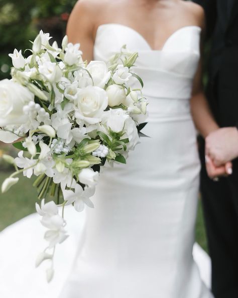 This wedding featured the brightest blooms and the sweetest bride and groom. 💞 We used a mix of white orchids, roses, peonies, campanula, and more to create this hand-tied and foam free cascading bouquet for our bride. The bridesmaids had smaller, standard versions of her bouquet. The whole day was just gorgeous! More to come… 🤍 Photography@brandisisson Planning: @hankalevents Venue: @sacredheartaugusta Floral Design: @honeycombflorals Beauty: @aklandco Catering: @berrys.catering Ren... Trailing Bouquet, Magnolia Bouquet, Blush Bridal Bouquet, Cascading Bouquet, Cascading Wedding Bouquets, Roses Peonies, Cascade Bouquet, White Magnolia, White Wedding Bouquets