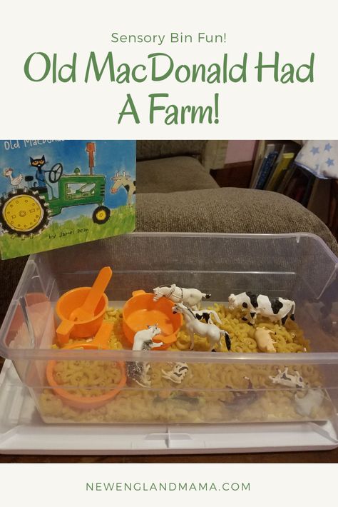 Old Macdonald Had a Farm Sensory Bin! – New England Mama Old Mac Donald Had A Farm Activities, Nursery Rhymes Sensory Bin, Nursery Rhyme Sensory Bin, Old Mcdonald Had A Farm Activities, Old Macdonald Had A Farm Activities, Twos Activities, Mess Free Toddler Activities, Farm Theme Crafts, Sensory Stories