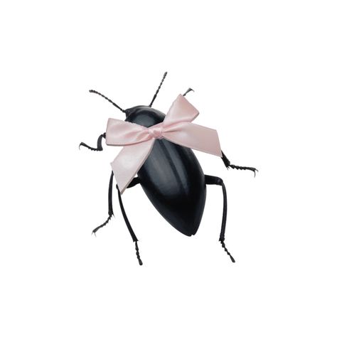 Bug Pfp Aesthetic, Creepy Cute Icons, Bug Pfp, Insects Aesthetic, Insect Aesthetic, Pink Insect, Beetle Aesthetic, Bug Core, Bug Aesthetic