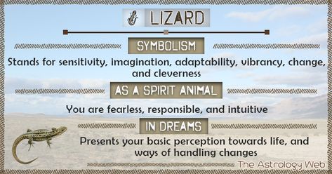 Lizard Symbolism Spirit Animal Dream Lizard Symbolism Meaning, Spiritual Meaning Of Lizards, Lizard Spirit Animal, Lizard Tattoo Meaning, Lizard Spiritual Meaning, Lizard Symbolism, Lizard Totem, Meditation Signs, Animal Totem Spirit Guides