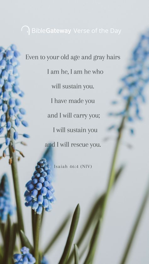 I Have Made You I Will Carry You, God Will Sustain You, I Will Sustain You Verse, I Will Carry You, Isaiah 46:3-4, Isaiah 46 4 Wallpaper, Isaiah Scriptures, Blessed Scripture, Isaiah 46 4