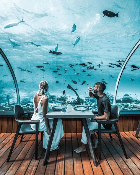 Maldives Honeymoon Package, جزر المالديف, Underwater Hotel, Underwater Restaurant, Best Travel Insurance, Maldives Honeymoon, Maldives Travel, Honeymoon Packages, Modern Restaurant