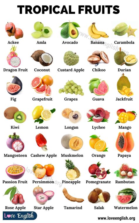 Tropical Vegetables, Fruits And Vegetables Names, Names Of Fruits, Fruits Name, Fruits And Vegetables List, Name Of Vegetables, Fruits Name In English, अंग्रेजी व्याकरण, Fruit Names