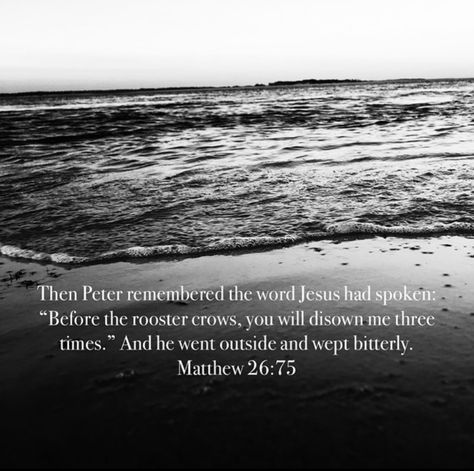 Then Peter remembered the word Jesus had spoken: “Before the rooster crows, you will disown me three times.” And he went outside and wept bitterly. Matthew 26:75 Betrayal. We, as humans don’t take betrayal very easily. I personally don’t take betrayal very well. We hold grudges. We lash out. We’re human. We sin. It’s kinda like what we do. Betrayal, by definition, comes at the hand of someone considered to be a friend or loved one. At the very least, it would come from someone you trust. As Jesu Silent Saturday, Matthew 26, As Humans, The Rooster, Crows, Go Outside, Very Well, Rooster, The Outsiders