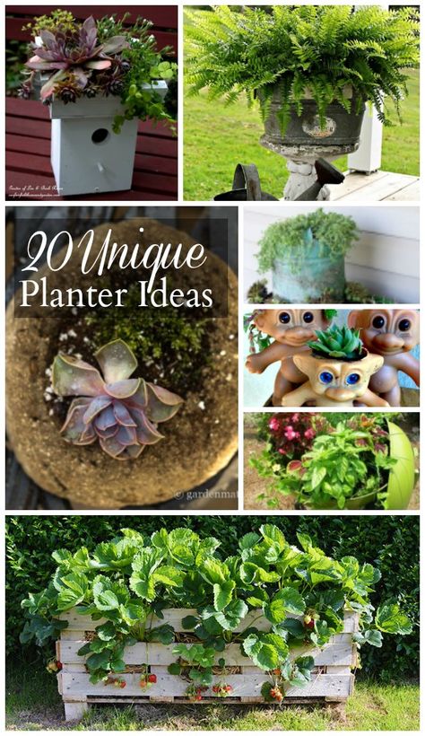 Be inspired by 20 unique planter ideas from talented bloggers all over the net. Unusual planters can add whimsy and fun to your outdoor decor. Unusual Planters Ideas, Unique Planter Ideas, Unusual Planter, Unique Planters, Diy Herb Garden, Container Garden Design, Garden Junk, Succulent Gardening, Unique Planter