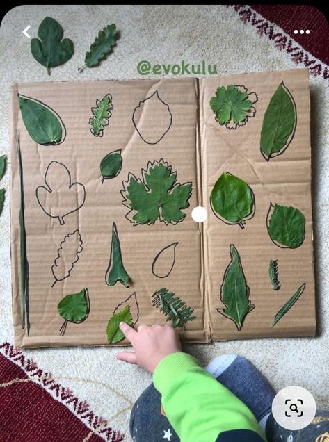 Outdoor Montessori Activities, Forest Activities For Preschool, Forest School Activities, Hair Bows Diy, Nature Projects, Nursery Activities, Nature School, Baby Learning Activities, Hairstyles Kids