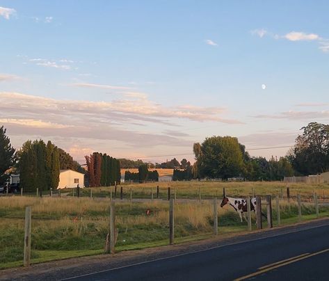 #aesthetic #country #western #horse #texas The Iron Claw Aesthetic, Western Texas Aesthetic, Appalachian Country Aesthetic, Rural Texas Aesthetic, Country Americana Aesthetic, South Texas Aesthetic, Texas Home Aesthetic, Hill Country Aesthetic, Western America Aesthetic