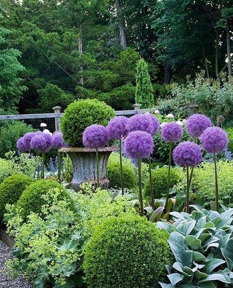 Pocket Garden, Purple Plants, Purple Garden, Low Maintenance Landscaping, Have Inspiration, Front Yard Landscaping Ideas, Yard Landscaping Ideas, Garden Features, Gorgeous Gardens