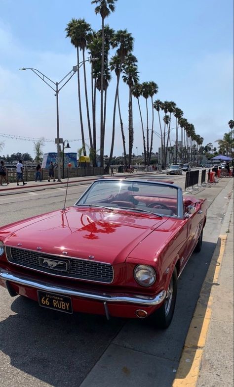 Old Fashion Cars, Car Profile, Glamour Lifestyle, 80s Cars, Red Mustang, Future Earth, Red Cars, Vintage Mustang, Vehicle Reference