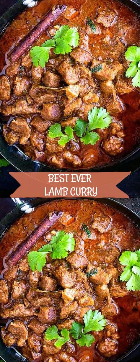 Best Ever Lamb Curry Easy Lamb Curry, Best Lamb Curry Recipe, Lamb Curry Recipes Easy, Lamb Receipts, Caribbean Lamb Curry, Curried Lamb Recipes, Lamb Chop Curry, Curry Lamb Chops, Curry Lamb