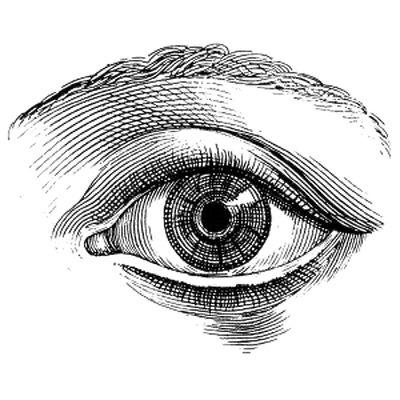 Engraving Style Illustration, Realistic Eye Drawing, Eye Illustration, Drawing Eyes, Eye Eye, Engraving Illustration, Realistic Eye, Human Eye, Eye Tattoo