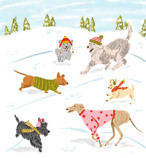 Kalyn Kepner | Illustrator and Designer (@kalynkepner) • Instagram photos and videos Monthly Drawing Challenge, 2022 Sweaters, Snow Illustration, Unique Christmas Cards, Winter Illustration, Beautiful Christmas Cards, Snow Dogs, Winter Wallpaper, Winter Dog