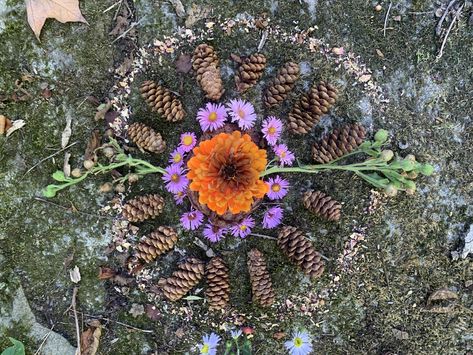 3 Druid Fall Rituals to Honor the Earth Fall Rituals, Altar Inspiration, Annie Sloan Colors, Fairy Garden Designs, Herbal Magic, Garden Designs, Mindfulness Meditation, Annie Sloan, The Earth