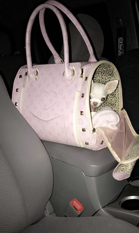 Chihuahua In Purse, Dog In Purse, Purse Puppy, Purse Dog, Princess Life, Pet Bunny Rabbits, Puppy Mom, Dog Mommy, Spoiled Dogs