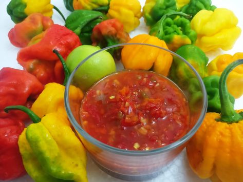 A simple and delicious trini lime pepper sauce recipe Lime Pepper Sauce, Trini Pepper Sauce, Peppered Jerky Recipe, Lemon Pepper Sauce, Pepper Sauce Recipe, Food Spoilage, Trinidad Recipes, Carribean Food, Trini Food