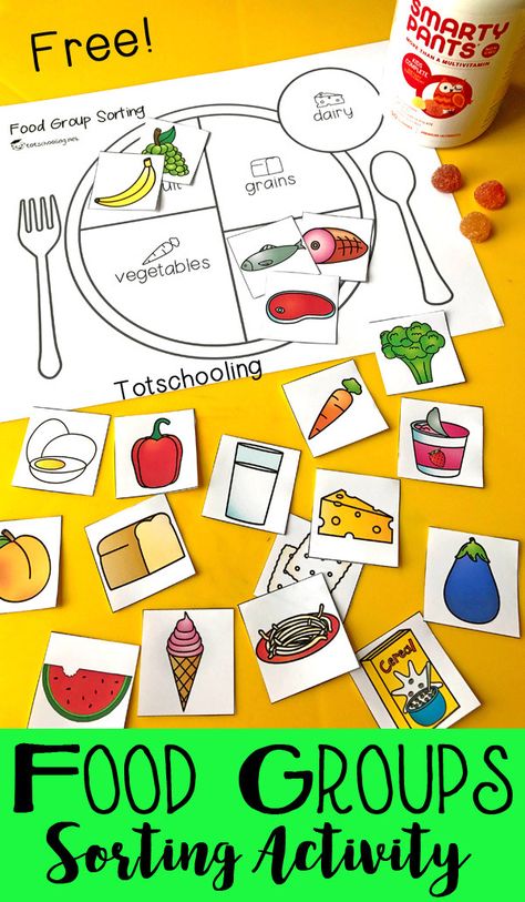 This food groups sorting activity is the perfect way to help kids learn the different food groups, as well as portion control. :: www.thriftyhomeschoolers.com Food Groups Preschool, Healthy Food Activities, Permainan Kerjasama Tim, Preschool Food, Nutrition Activities, Food Activities, Food Pyramid, Food Groups, Aktivitas Montessori