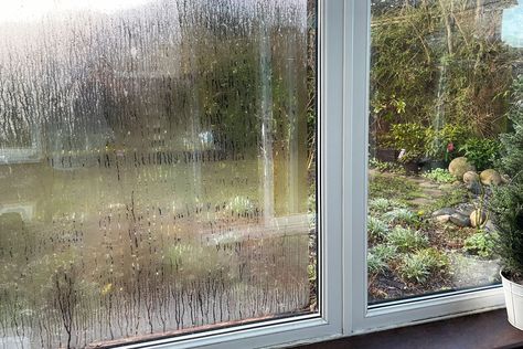 Fogged Windows, Window Condensation, Single Pane Windows, Double Pane Windows, Crystal Springs, Extractor Fans, Cold Room, Window Repair, Double Glazed Window