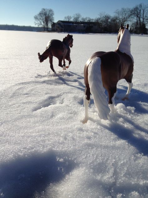 Breyer horse photography on the frozen lake:) Breyer Horses Photography, Breyer Stablemates Custom, Breyer Horses Scenes, Realistic Breyer Photos, Retired Schleich Horses, Custom Breyer Stablemate, Bryer Horses, Snow Photography, Horses Theme