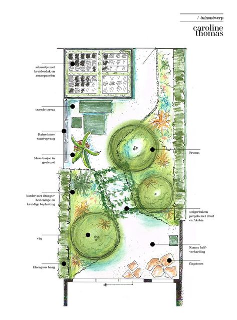 Een tuinontwerp met een Zuid-Europees gevoel op 50 m² | vtwonen Garden Gadgets, Small Garden Landscape, Garden Design Layout, Garden Planner, Garden Design Plans, Landscape Design Plans, Have Inspiration, Mediterranean Garden, Native Garden