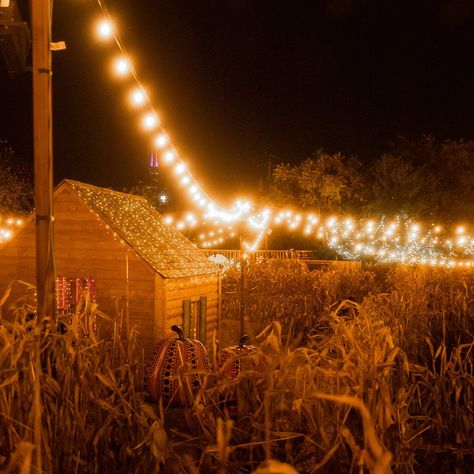 Haunted Corn Maze, Hay Maze, Haunted Maze, Haunted Hayride, Amazing Halloween Costumes, What Is Halloween, Fall Fest, Fall Bucket List, Corn Maze