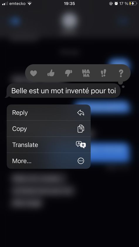 love, french, text message, conversation, relationship, notre dame French Text Messages, Message Conversation, Fake Text Message, Fake Call, French Text, Cold Cases, Love French, Love Text, Cold Case