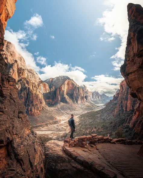 Marc Bächtold on Instagram: “On the scenic trail to Angel’s Landing in Zion National Park, UT 🇺🇸” Zion Photography, Zion Hikes, Angels Landing Zion National Park, Zion National Park Photography, Angels Landing Zion, Rivers In The Desert, Zion Park, Usa Photography, Angel S