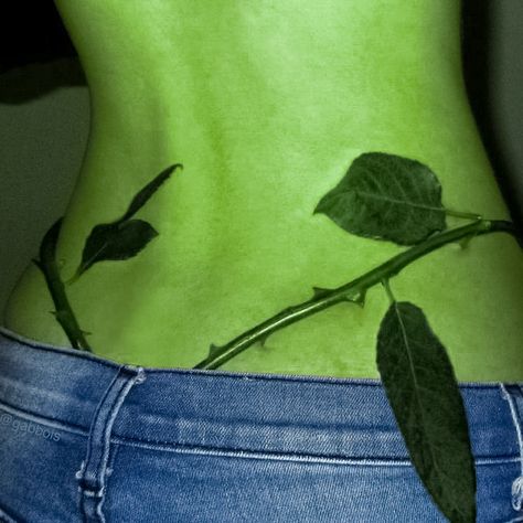 green skin pamela isley poison ivy dc comics character aesthetic Green Skin Aesthetic, Poison Ivy Aesthetic, Poison Ivy Character, Poison Aesthetic, Dc Aesthetic, Pamela Isley, Goals 2024, Poison Ivy Dc Comics, Dc Comics Cosplay