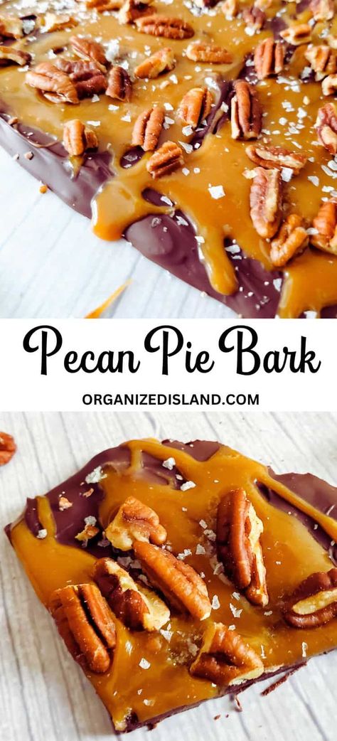 Chocolate Pecan Caramels, Thanksgiving Candy Recipes, Fall Bark Recipes, Fall Candy Ideas, Fall Candy Recipes, Thanksgiving Candy Treats, Candy Pecans Recipe Easy, Choclate Bark, Bark Candy Recipes